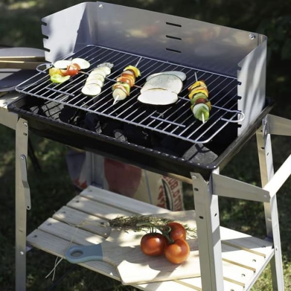 Barbecue à Charbon LIVOO Silver (DOC244) Barbecue à Charbon LIVOO Silver (DOC244)